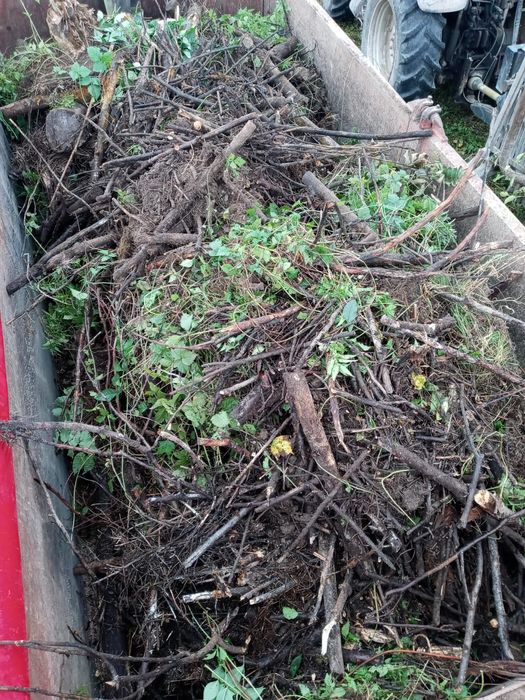 Wycinki koszenie mulczowanie