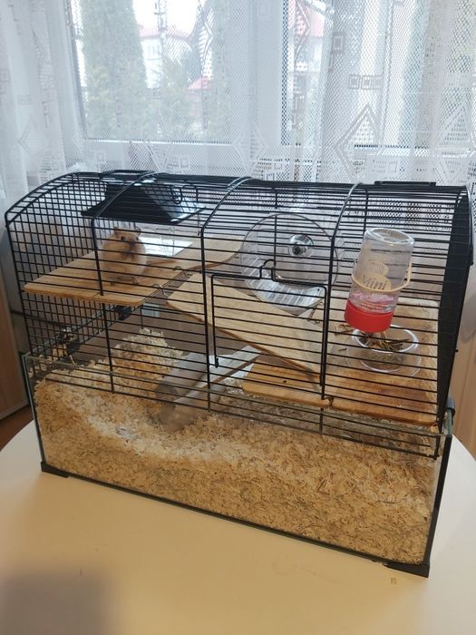 Myszoskoczek z klatką