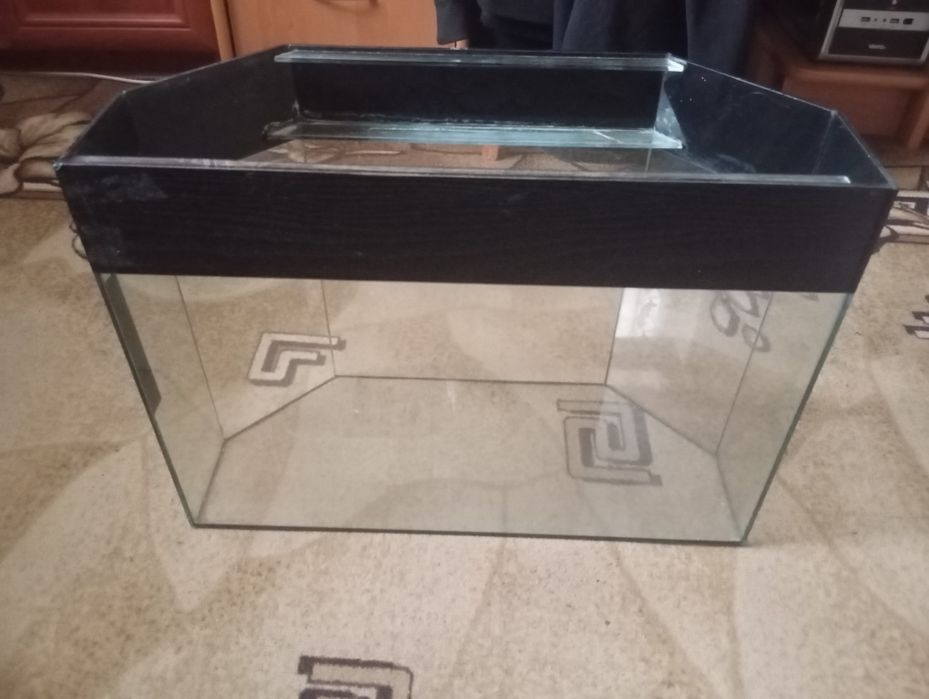 Акваріум для рибок