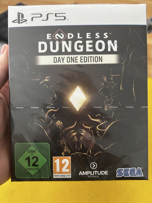 Endless Dungeon Day One Edition PlayStation 5 (PS5) pudełkowa / PL
