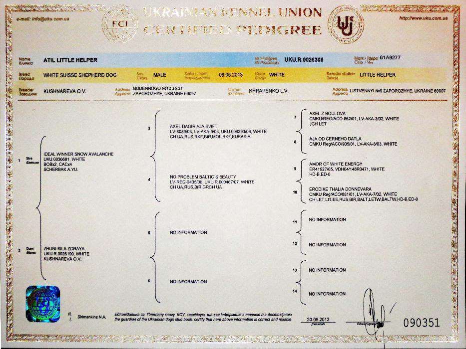 Вязка - Белая Швейцарская Овчарка, кобель,Запорожье