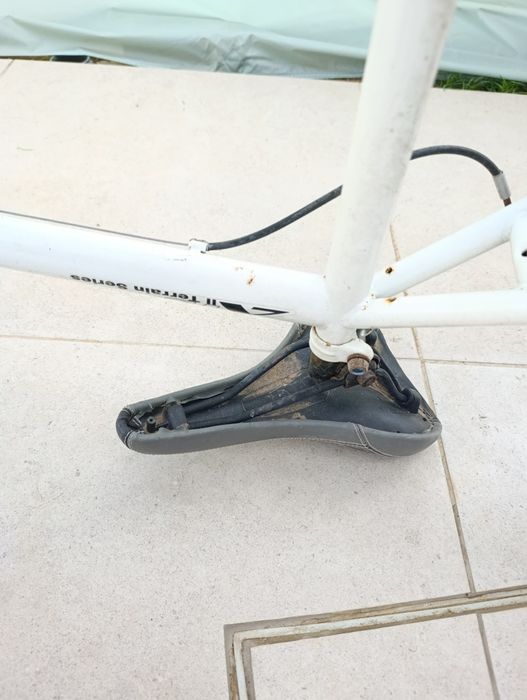 Bicicleta adulto