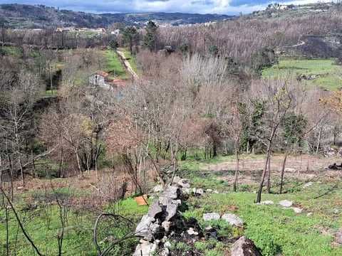 Terreno com mina de água