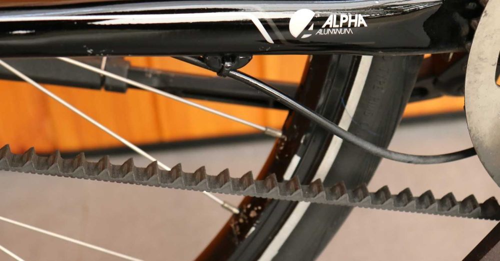 Rower damski Trek Dublin. D 53 Na pasku