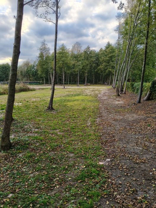Sprzedam działki nad jeziorem