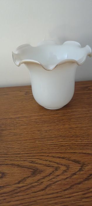 Szklane klosze do lampy