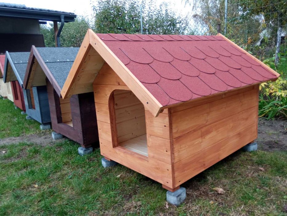 Duża nowa buda dla psa