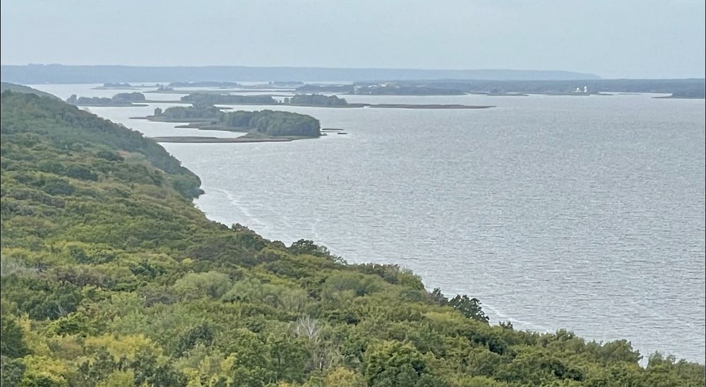 Продажа усадьбы.Маленькая Тоскана под Киевом.Обуховский. 1.18 Га земли