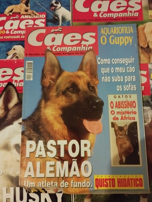 5 Revistas cães e companhia
