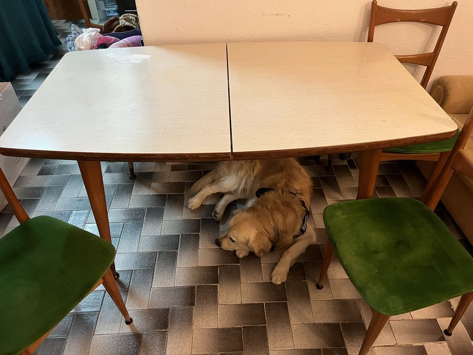 Mesa de Jantar e Cadeiras Vintage / Mid-Century (Estilo Olaio)