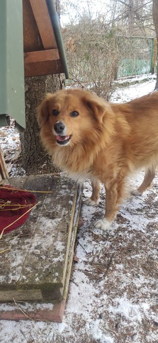 Zaginął czarna sędziszowska, nagroda pieniężna