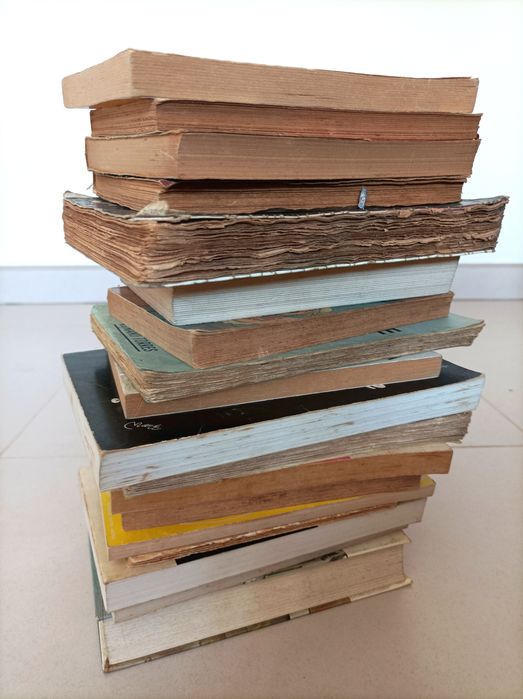 Lote de Livros muito Antigos (Vintage)