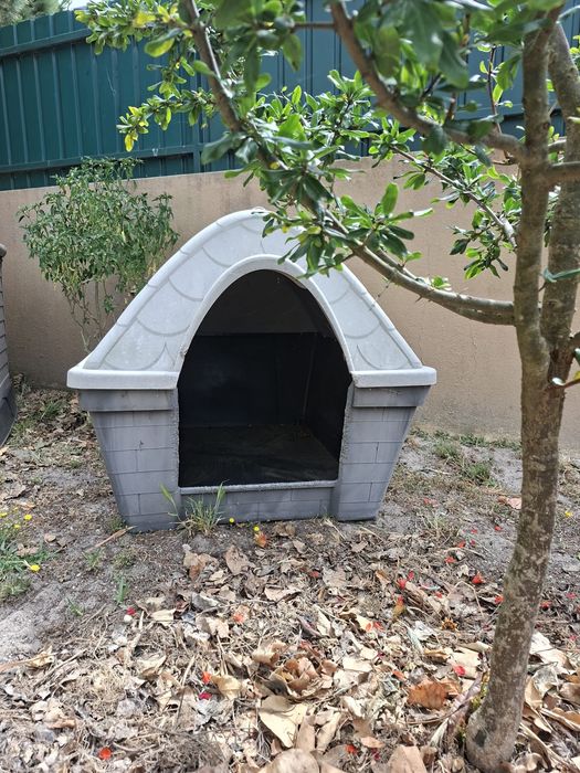 Casota cão pequena