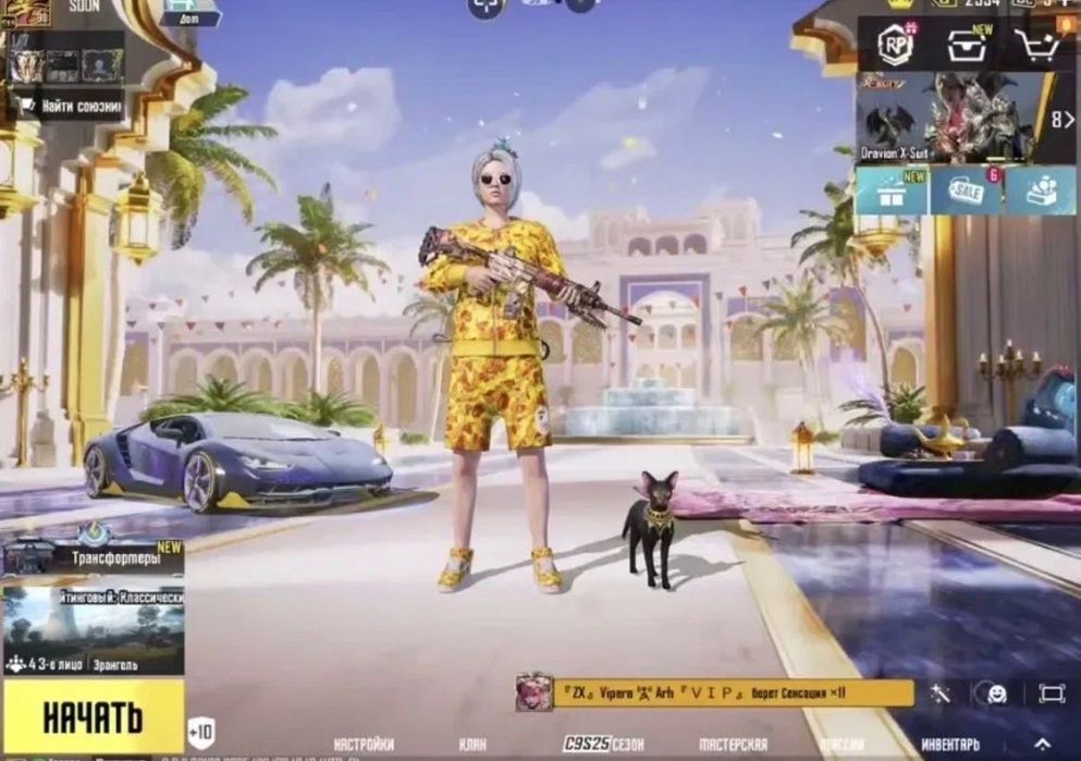 Акаунт в pubg mobile