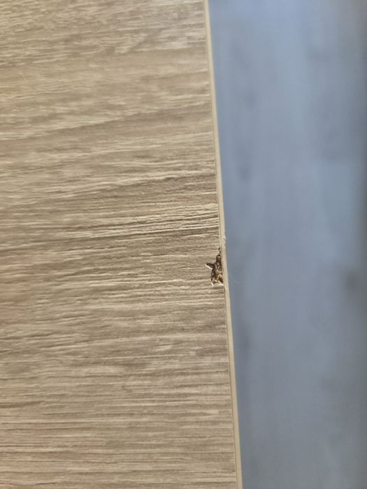 Stół dąb sonoma rozkładany