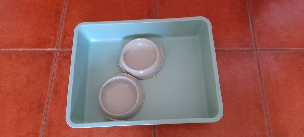 Tabuleiro/caixa de areia e comedouro