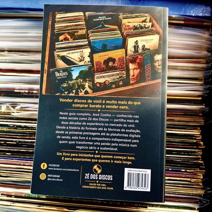 Guia Pratico de Vinil: Tudo o que Precisa de Saber para Comprar e Vender Discos