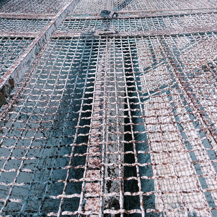 Rozsiewacz do wapna sulky 3 t, na żmijki 8 m, zdrowy, równy wysiew