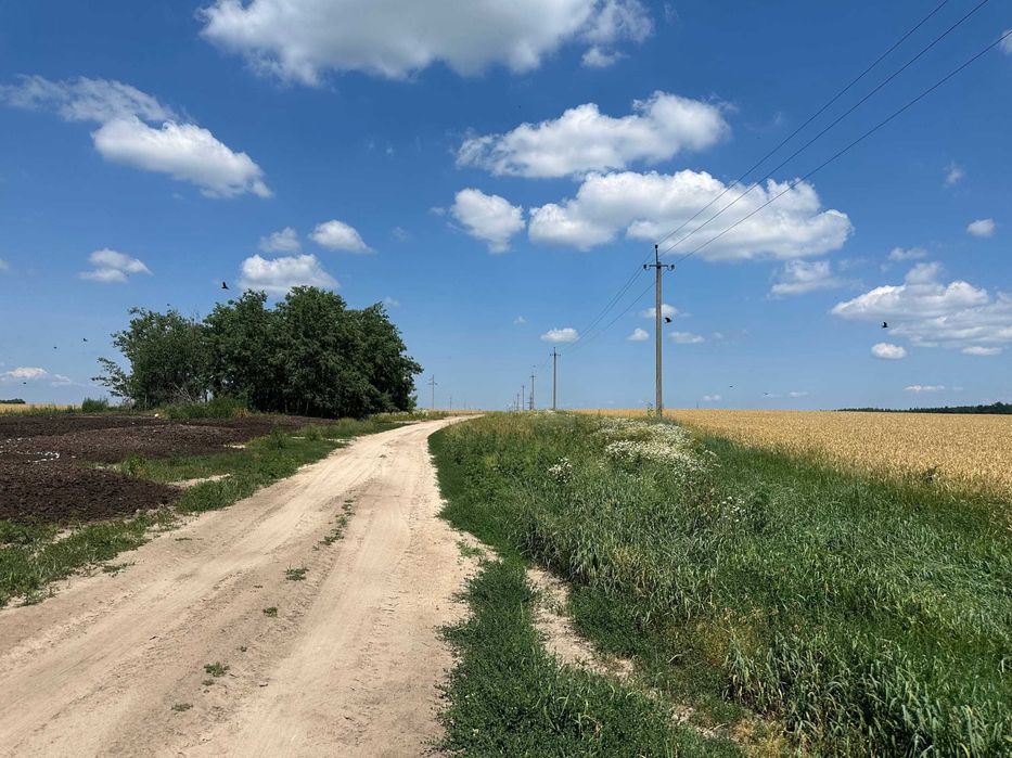 Продаж 335 соток біля лісу