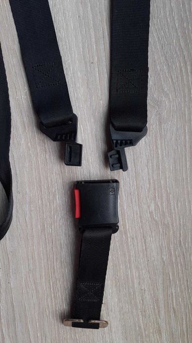 Cintos segurança para ovinho