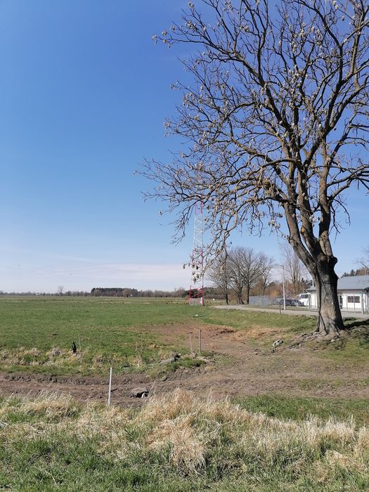 Działki budowlane Stegna