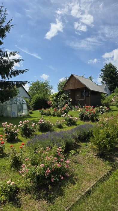 Działka rekreacyjna "ROD" Rajsy Krosno