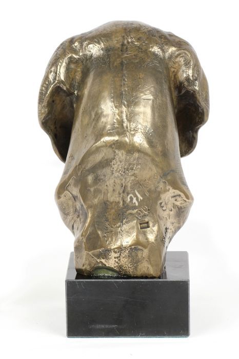 Wyżeł weimarski głowa na kamieniu Art-Dog