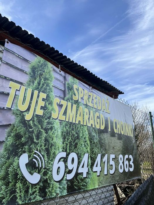Sprzedam Tuje Szmaragd