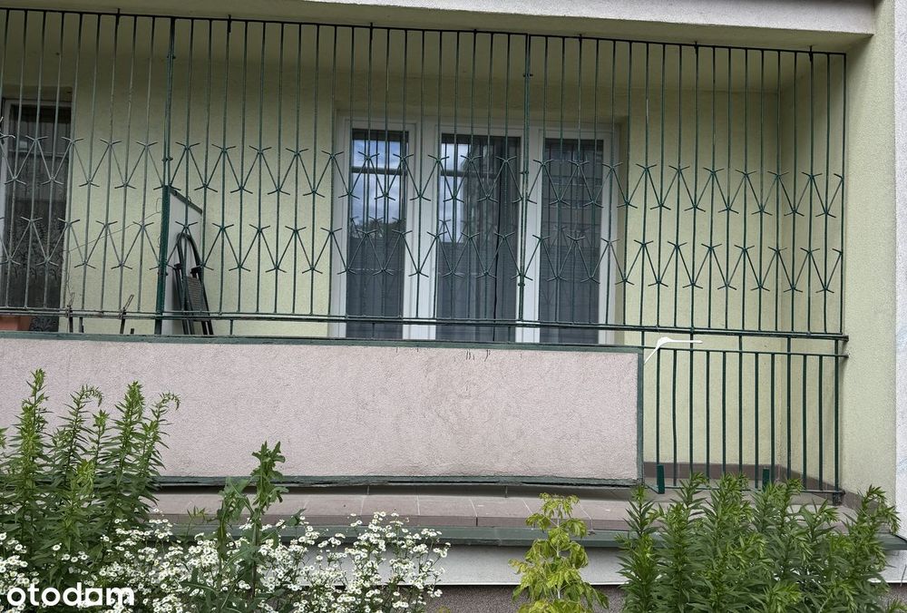 Saska Kępa | 2 pokoje | Po remoncie | Bez prowizji - Widok 3