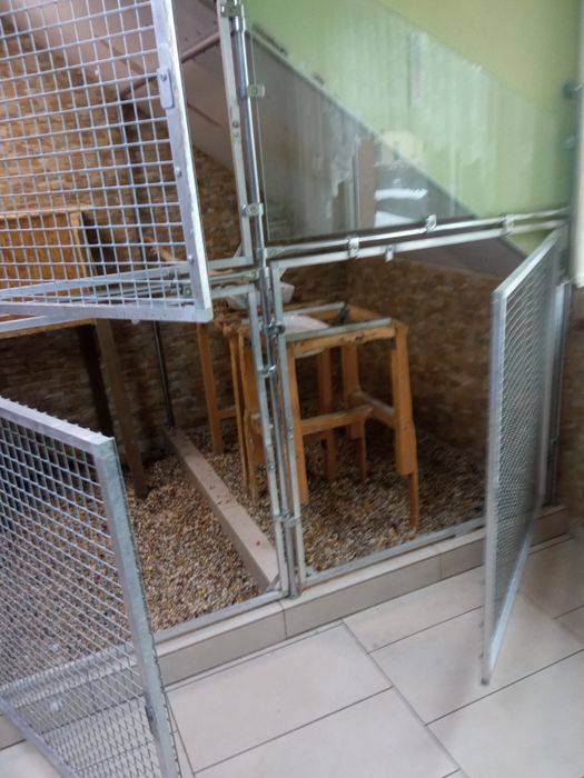 Klatka woliera dla ptaków - wielką !