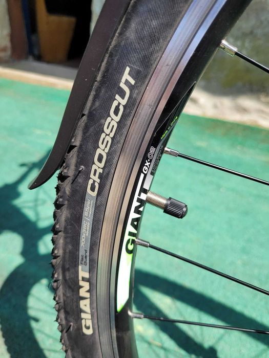 Rower Giant Roam 3 Rama L