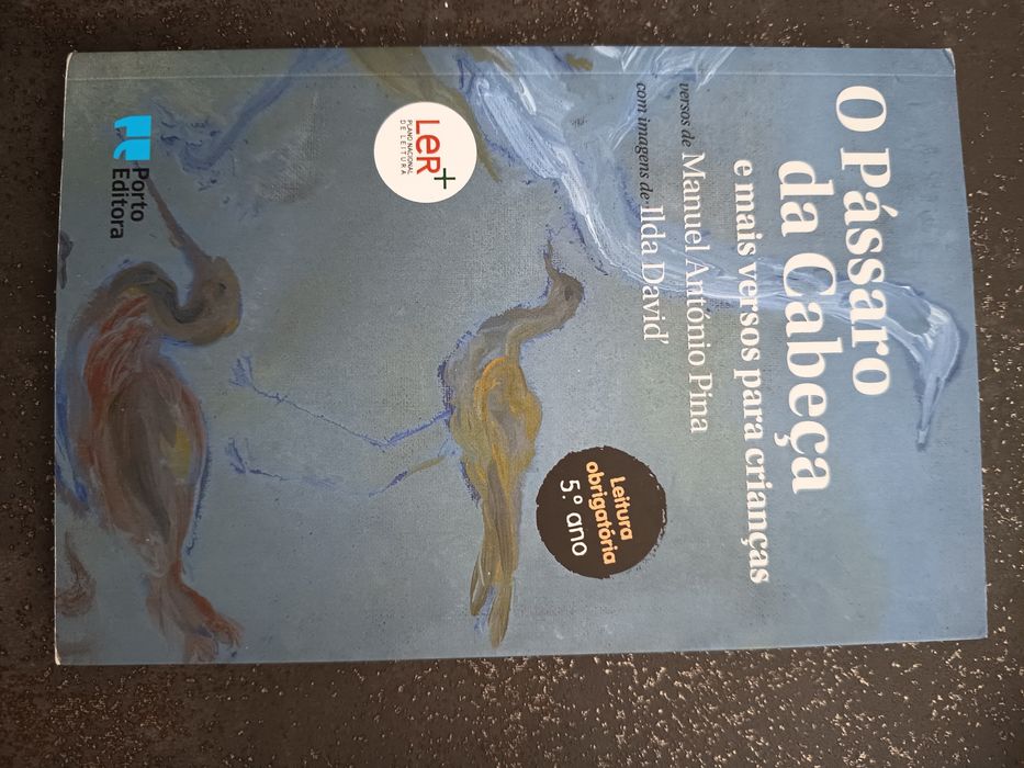 Livro O pássaro da cabeça.