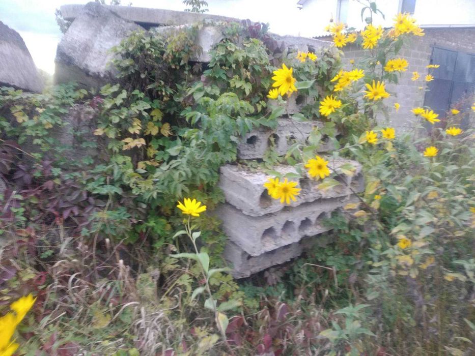 Катки, круги, кольця бетонні на каналізацію Овруч Лугини Народичі