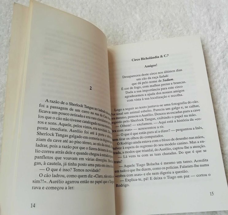 Livro Juvenil O Caso da Cobra com Asas – Garcia Barreto