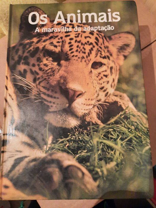 Enciclopédia juvenil