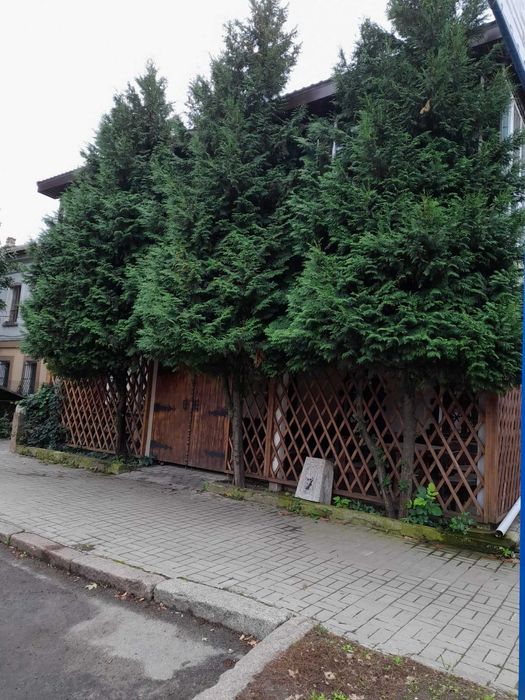 Центр Спасская/Мариупольская ресторан 365м цена 40000 грн/мес