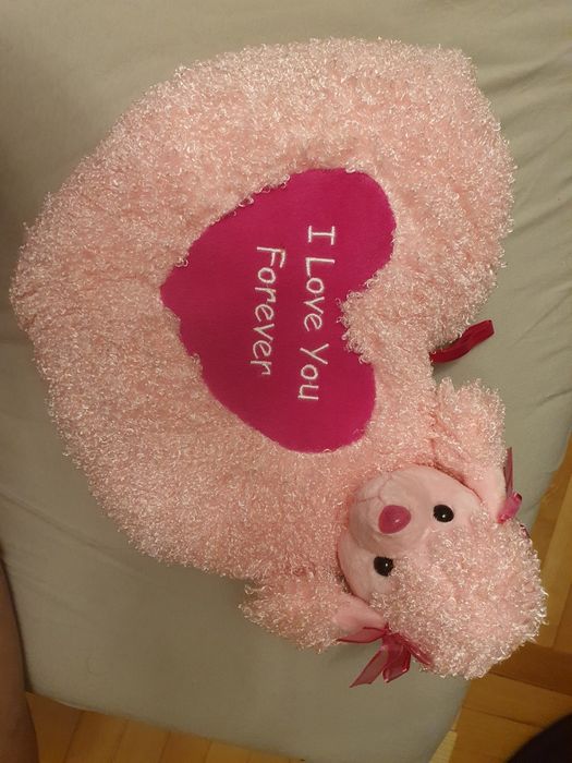 Poduszka serce piesek dla dzieci i nie tylko