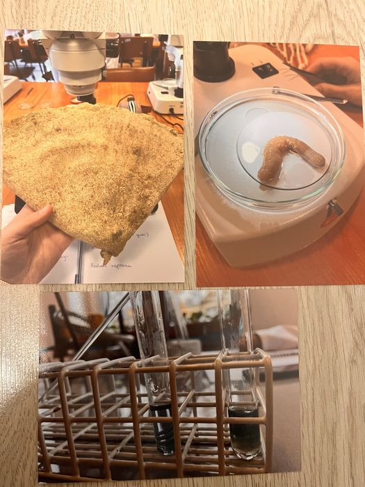 Korepetycje biologia