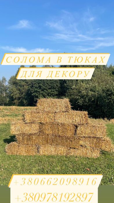 Солома в тюках для декору. Тюки