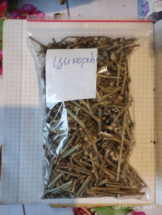 Цикорій троянда чебрець акація піон одуванчик