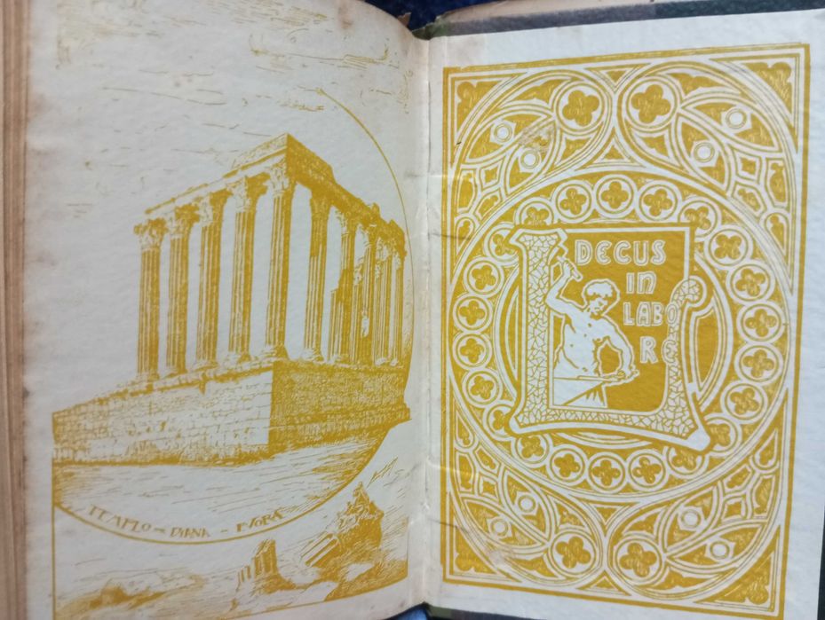 A dama das camélias