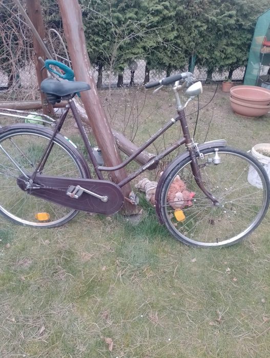 Rower Holenderka