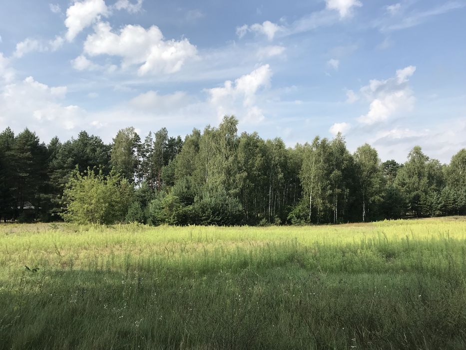 Działki Aleksandria z wydanymi WZ - Widok 2