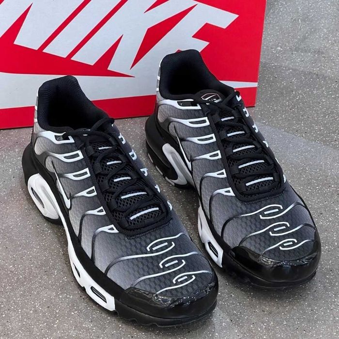 Air_Max_TN_Plus 44