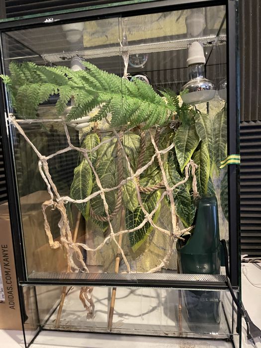 Terrarium kameleon/gekon