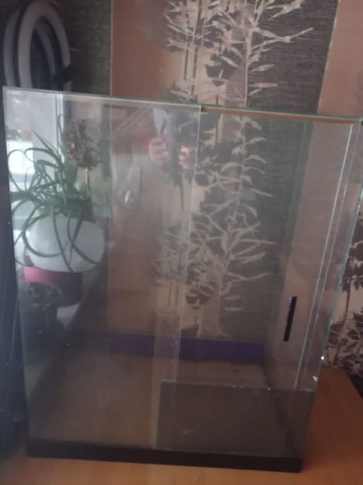 Тераріум для рептилій