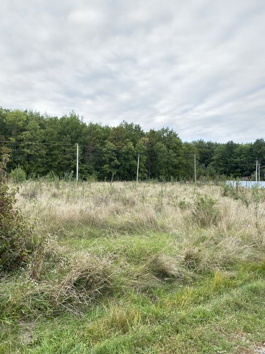 Земельна ділянка - 0,10 га.