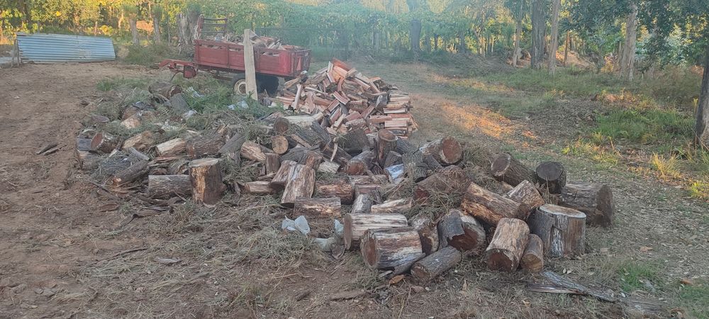 Lenha para venda