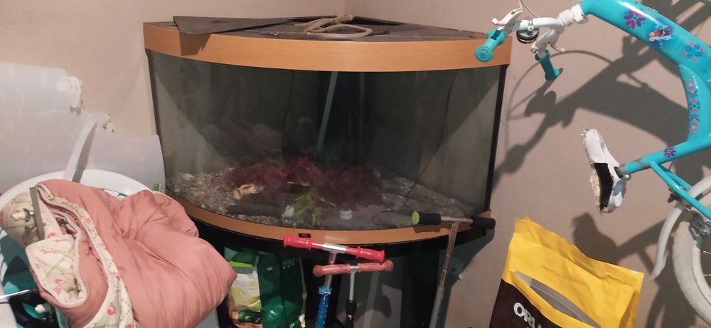 Aquario para peixes