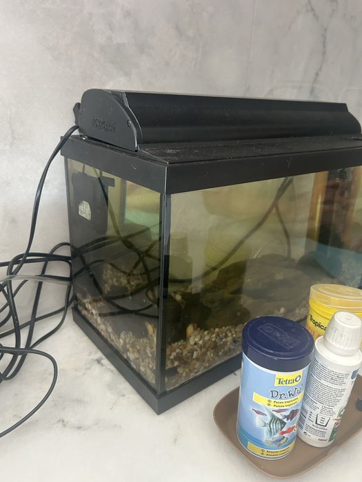 Aquario com todos os  acessorios para peixes tropicais